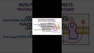 Atropine  Muscarinic competitive receptor antagonist  ANS pharmacology [upl. by Roye615]