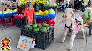 YoYo JR takes the goat to harvest vegetables and goes market sell  full version [upl. by Coulombe]