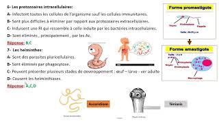 Exercices dapplication sur limmunité antiparasitaire [upl. by Ethelbert]