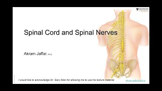 Tracts of Spinal Cord  2  Extrapyramidal Tracts [upl. by Marrin611]