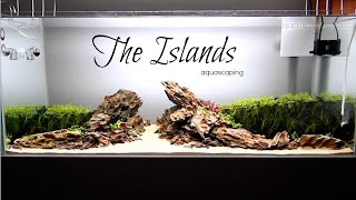 Aquascaping THE ISLANDS [upl. by Jorin]