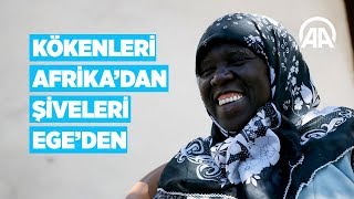 Kökenleri Afrikadan şiveleri Egeden [upl. by Suirradal]