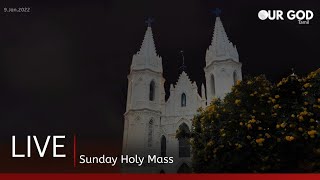 velankanni live mass today  velankanni live [upl. by Yerrok919]