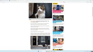 Larry the Downing Street cat is ‘a little s’ says minister [upl. by Eyahc994]