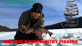 Splake Fishing a Backcountry Stocked Lake [upl. by Rehpretsirhc]