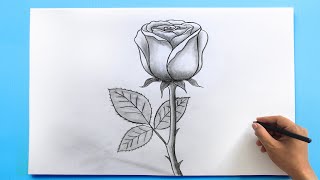 ROSE Drawing Easy 🌹 How to Draw a Rose step by step [upl. by Krongold66]