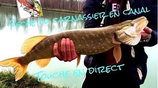 Peche du carnassier en canal  Touches en direct GoPro HD 2 [upl. by Aicertap572]