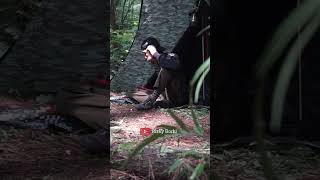 Solo camping bersantai di hutan solocamping bushcraft survival latihanperang [upl. by Iamhaj149]