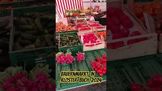 Regionaler BAUERNMARKT in Kloster Buch Mulde in Sachsen  Sommer 2024 [upl. by Arabrab]