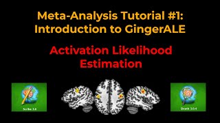 fMRI MetaAnalysis Tutorial 1a Introduction to GingerALE [upl. by Jami]