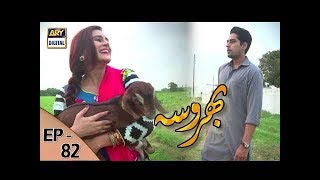 Bharosa Episode  82  31st August 2017  ARY Digital Drama [upl. by Nolra]