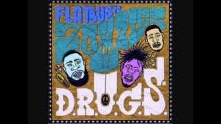 Flatbush Zombies  Intro DRUGS [upl. by Shane]