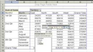 Group Months into Quarters in an Excel Pivot Table [upl. by Adorne875]