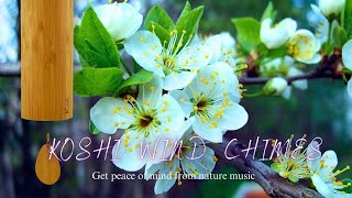 Koshi Wind Chimes  Wind Chime  Koshi Bells Meditation  Relax Sleep Heal Music [upl. by Attelliw]