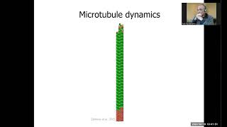 48 cell cycle 6 [upl. by Acirtap]