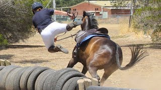 Horse Falls Compilation  Epic Equestrian Falls and Fails  Best Bad Horse Riding and Pony Fails [upl. by Grayson]