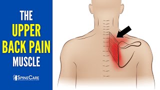 The Upper Back Pain Muscle How to Release It for INSTANT RELIEF [upl. by Faustena988]