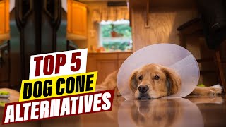 Keep Your Dog Comfortable and Safe with These Cone Alternatives [upl. by Seek410]