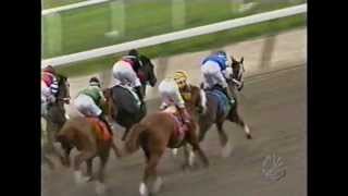 2004 Belmont Stakes  Birdstone  Post Race [upl. by Attenad]