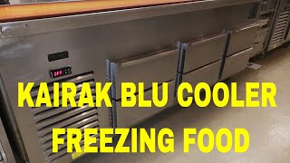 KAIRAK BLU REACH IN FREEZING FOOD [upl. by Elad]