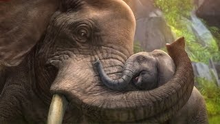 Zoo Tycoon 2 Review [upl. by Ynar]