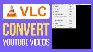 How to Convert Youtube Video to MP3MP4 2024  Best Method [upl. by Giltzow]