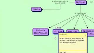 tutorial cmap parte 2 [upl. by Carilla]