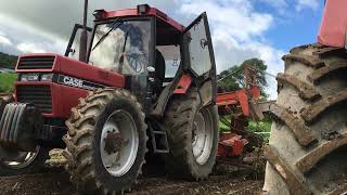 Organic potato harvest 2020 [upl. by Lerrej]