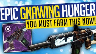 Destiny 2  EPIC GNAWING HUNGER How To Get The CURATED Legendary Auto Rifle  DO THIS TODAY [upl. by Kcired]