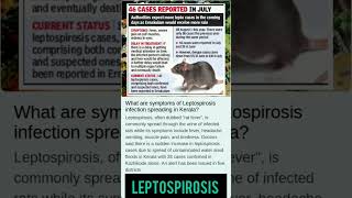 Leptospirosis  Rat Feaver  Spread In Kerala  Leptospirosis Symptoms amp Treatments  currentaffair [upl. by Hamel]