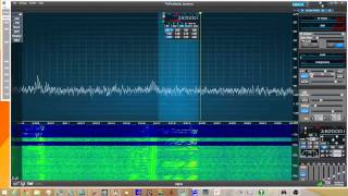 Demo of Wellbrook ALA100M Active ANT on Flex 6300 [upl. by Orutra]