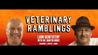 Lion Dentistry With Dr Martin Brice [upl. by Elreath]