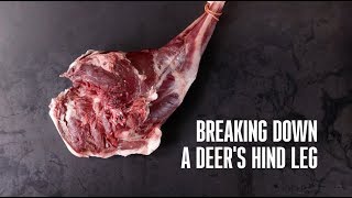 How to Break Down a Deers Hind Leg 101 with MeatEater [upl. by Pettiford275]