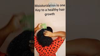 Heres what moisturization does to your natural hair haircare hairgrowthgoals hairgrowthjourney [upl. by Tarfe390]