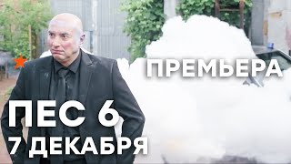 🔥 Сериал ПЕС 6 сезон  ГОРЯЧАЯ ПРЕМЬЕРА  НОВИНКА 2020  7 декабря  СЕРИАЛЫ ICTV [upl. by Terti]