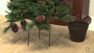 2 ft x 36 in Cibola Pre Lit Berry Bush  Product Review Video [upl. by Ary]