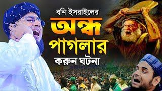 বনি ইসরাইলের অন্ধ পাগলার করুন ঘটনা  মুফতি জহিরুল ইসলাম ফরিদী [upl. by Maurice]