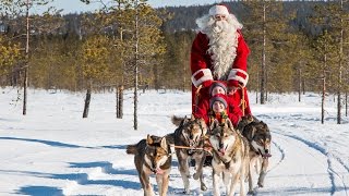 Santa Claus amp husky dogs in Lapland 🐕🎅 huskies with Father Christmas for children Finland Rovaniemi [upl. by Broucek]