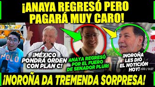 AMLO SÁBADO ¡ANAYA REGRESA Y PAGARÁ MUY CARO NOROÑA ¡DA TREMENDO NOTICIÓN HOY [upl. by Aiker]