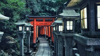 Fushimi Inari Shrine [upl. by Baugh732]