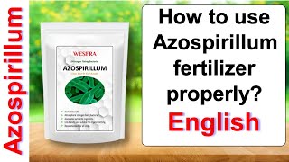 How to use Azospirillum fertilizer properly  English [upl. by Fugate]