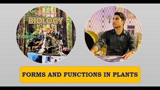 Class 11th  Forms And Functions In Plant  Lecture 18  Structure of Stomata  Guard Cells [upl. by Asa964]