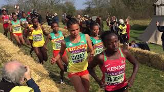 2019 World Cross Country Championships [upl. by Towrey813]