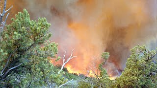 1994 South Canyon Fire on Storm King Mountain [upl. by Abeu]