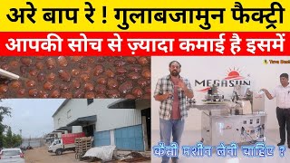 23 लाख़ हर महीने कमा सकते हैं गुलाबजामुन पेड़े के घरेलु उद्योग से  Gulab Jamun Making Machine [upl. by Siesser]