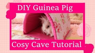 DIY Guinea Pig Cosy Cave Tutorial [upl. by Ihtraa]