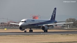 熊本空港 All Nippon Airways ANA Airbus A320200 JA8300 離陸 2013330 [upl. by Novello]