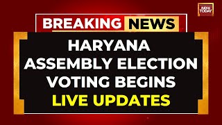 LIVE Haryana Assembly Elections Voting LIVE  MultiCornered Electoral Battle In Haryana [upl. by Kidder459]