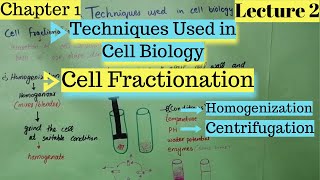 CELL FRACTIONATION  Homogenization  Centrifugation  Techniques Used in Cell Biology [upl. by Jamal]