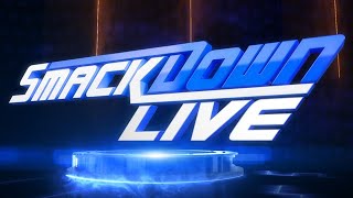 My AllCPU WWE 2K20 Universe Stream No Commentary WWE SmackDown LIVE TueNovW218 [upl. by Haimrej]